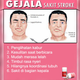 Illustration for article titled Obat Stroke Hemoragikem/em